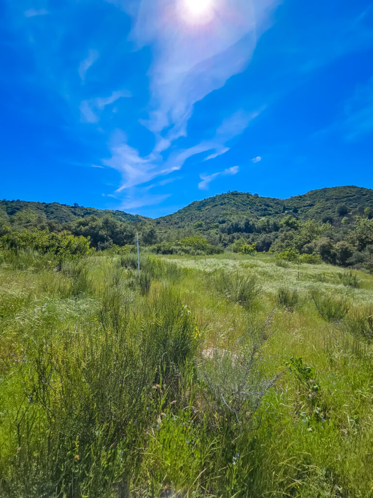 De Luz Hills land for sale
Fallbrook border land Temecula
R-A-5 zoned land Temecula
equestrian property De Luz